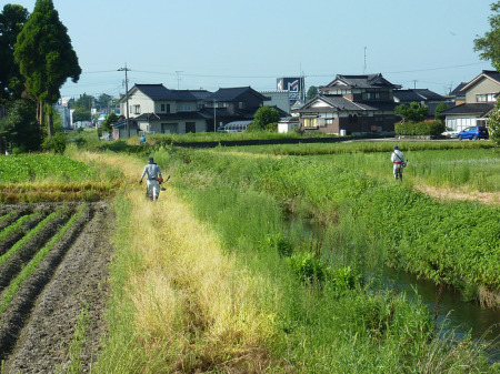 【画像】