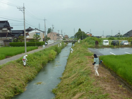 【画像】