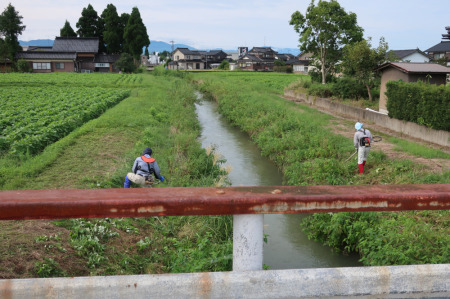 【画像】